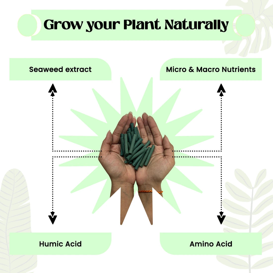 Dr.Green's - Magic Plant Sticks (50 Sticks)