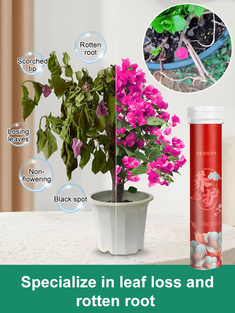 Greenio™ - Slow-Release Tablet Fertilizer for Plant