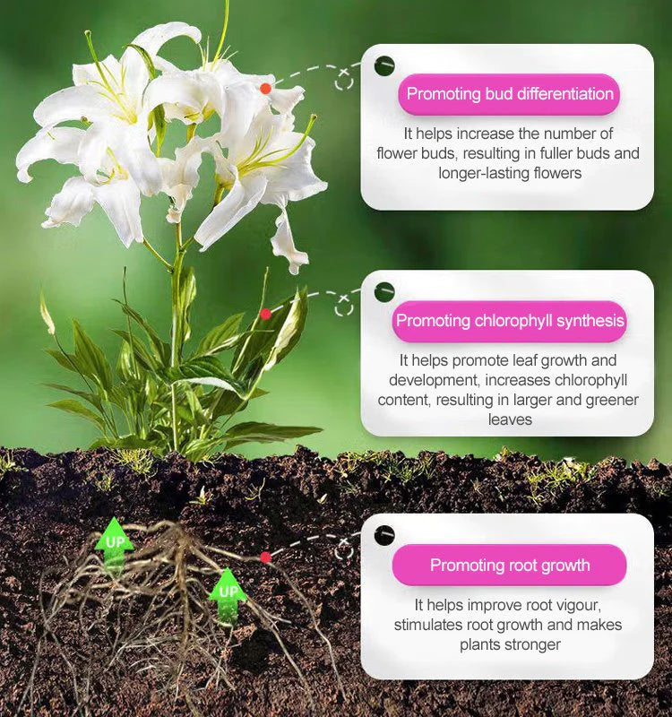 Rapid Flower-promoting Nutrient Solution