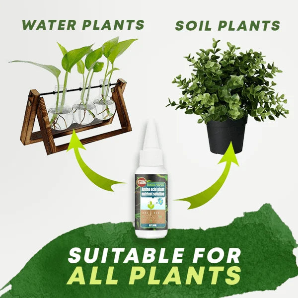 Plant Nutrient Solution