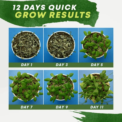 Plant Nutrient Solution