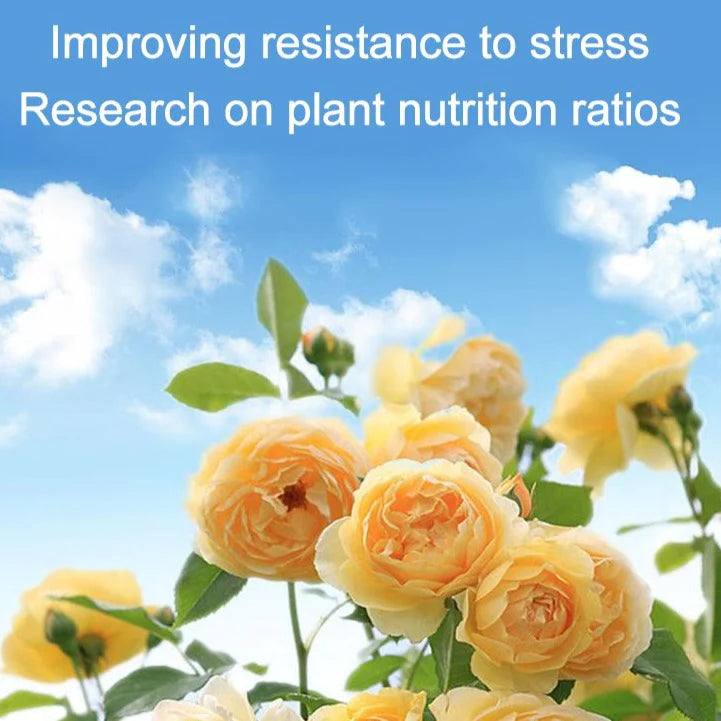 Rapid Flower-promoting Nutrient Solution