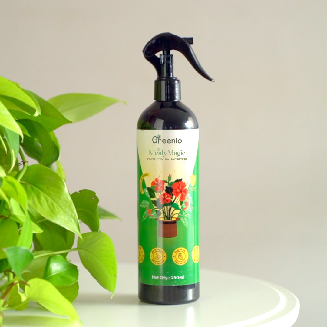 Mealybug Magic Spray for Plant Protection