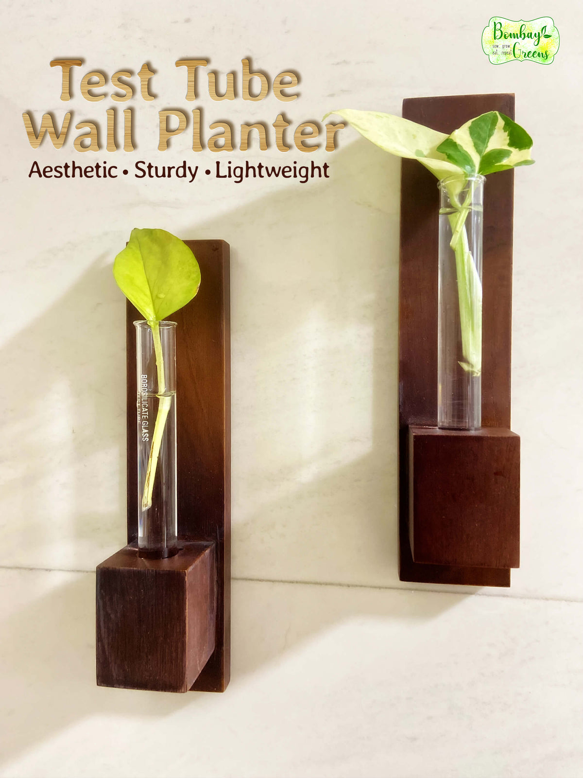 Test Tube Wall Planter with Wooden Holder (set of 3)