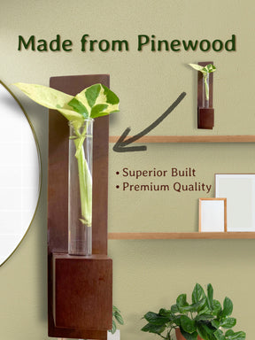 Test Tube Wall Planter with Wooden Holder (set of 3)