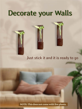 Test Tube Wall Planter with Wooden Holder (set of 3)