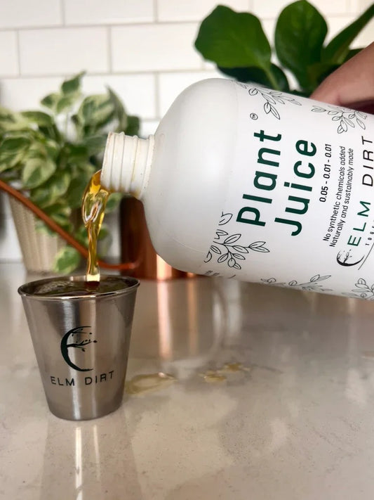 Plant Juice - Ancient Korean Farming Secret